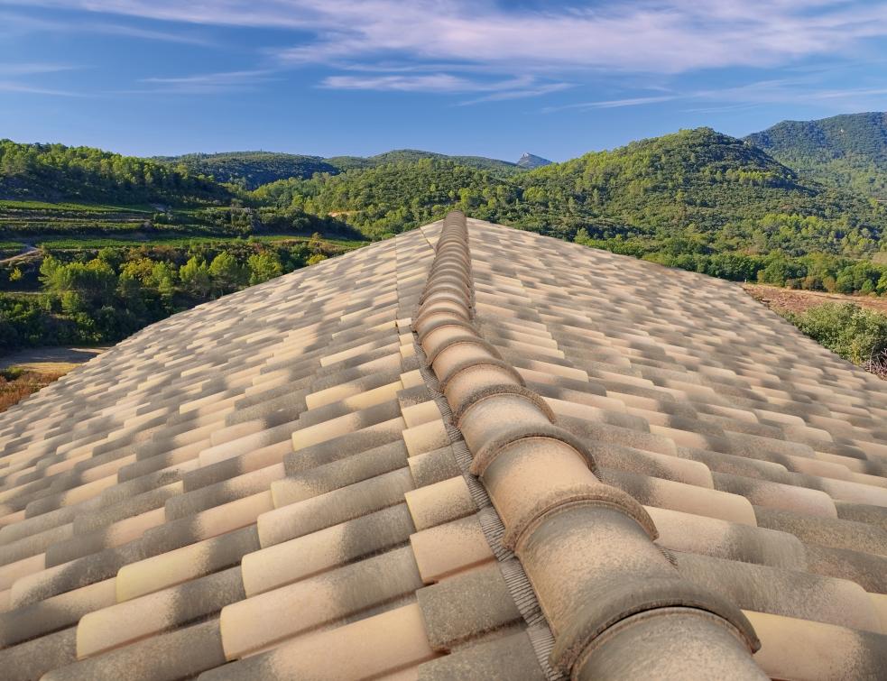 Terreal annonce une croissance rentable et des projets dans la toiture